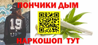 индика Боровичи